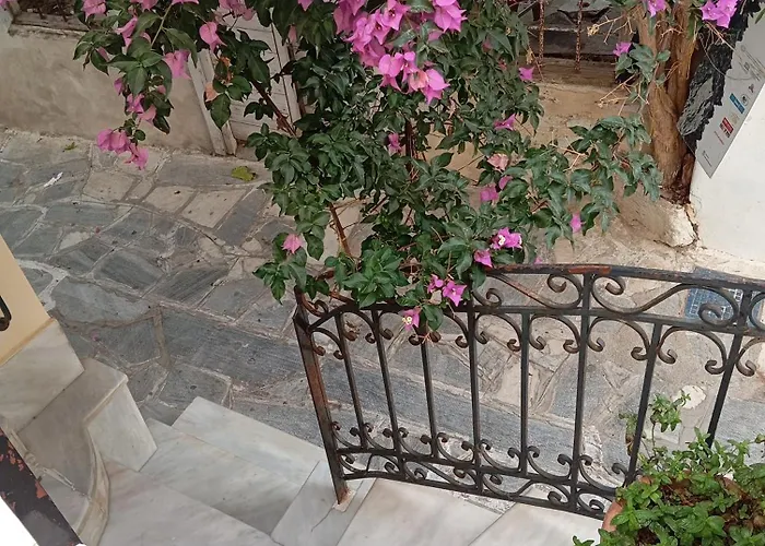 Sophisticated House *